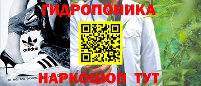 стафф Кимры